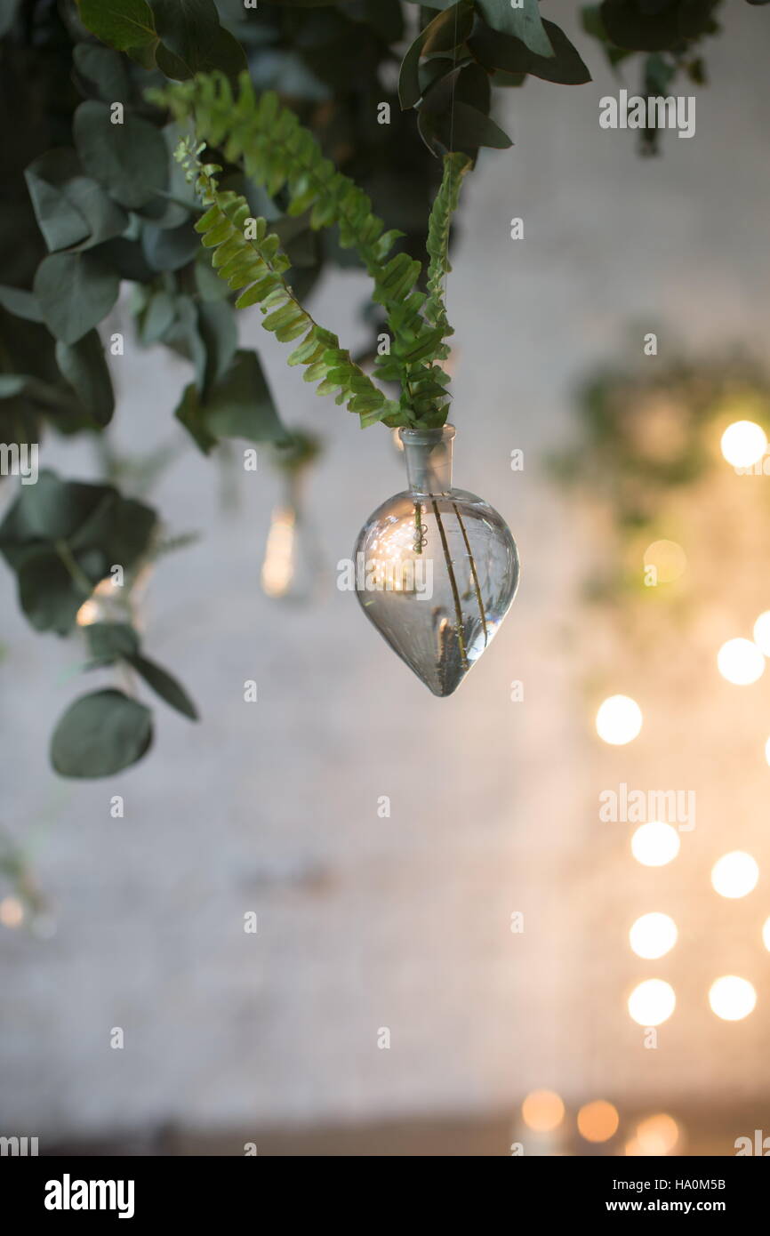 Grüne Blätter der Farn in Glasröhren Wasser hängen. Schöne rustikale Hochzeitsdekoration Stücke. Hochzeit im Loft Stil. Der Hintergrund jedoch unscharf. Stockfoto