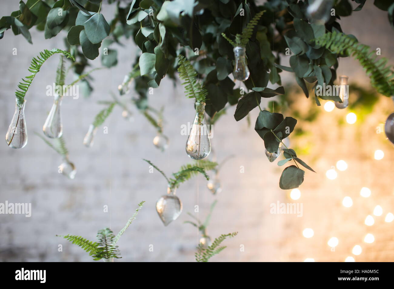 Grüne Blätter der Farn in Glasröhren Wasser hängen. Schöne rustikale Hochzeitsdekoration Stücke. Hochzeit im Loft Stil. Stockfoto