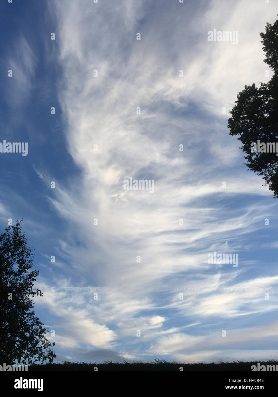 CIRRUS-Himmel Wolken mit charakteristischen Haken. Foto Tony Gale Stockfoto