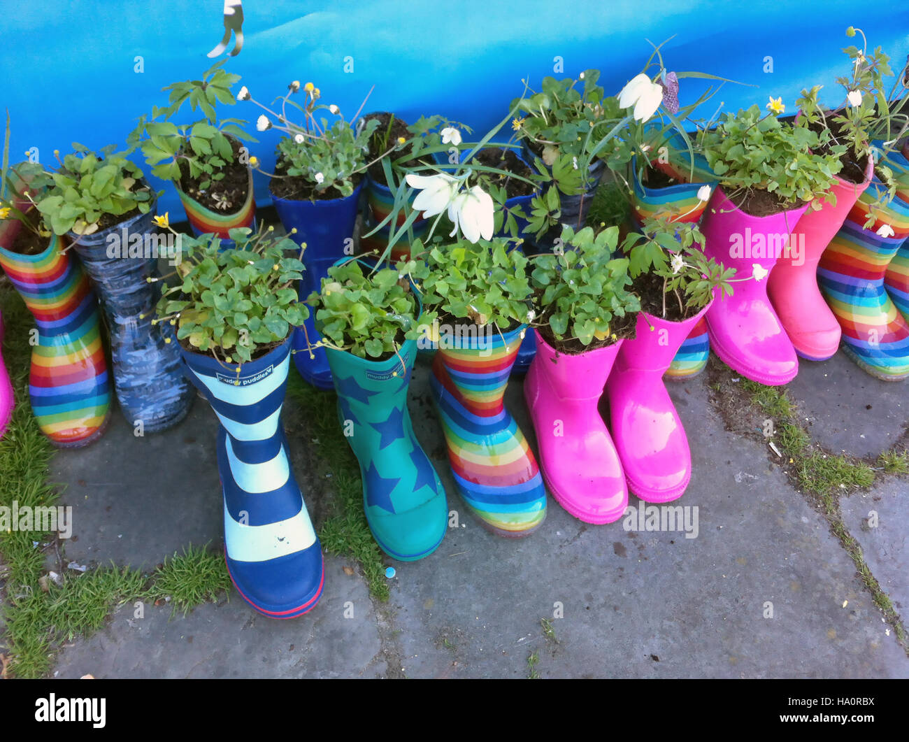 BOOT-Gärten erstellt von Kindern in Cardiff, Wales, als Bestandteil einer Blumenfest Stockfoto
