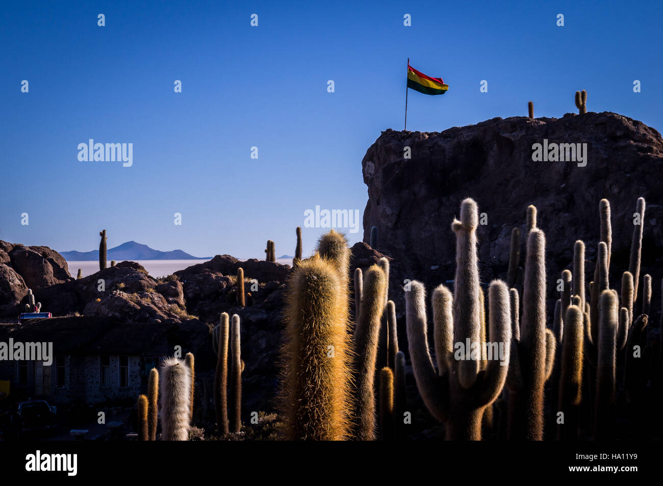 Bolivianische Flagge am Incahuasi Kaktus Insel Uyuni Stockfoto