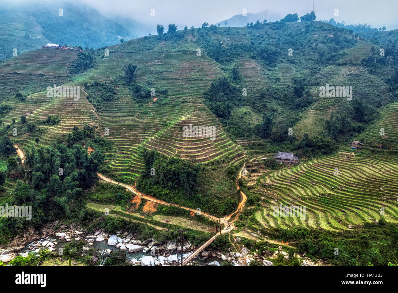 Reis Terrassen, Lao Chai, Sapa, Vietnam, Asien Stockfoto