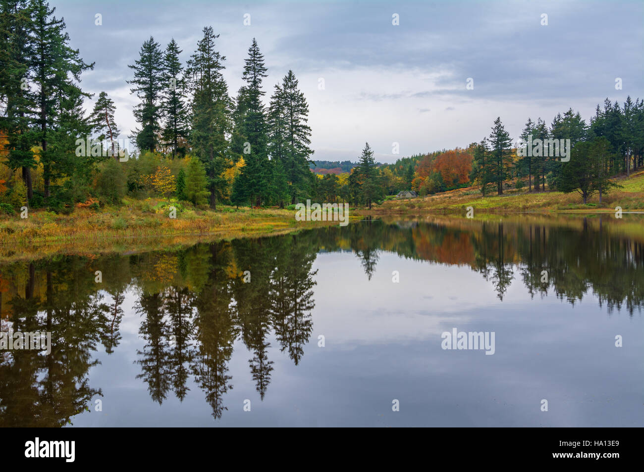 Lake Reflections, Cragside, Northumberland Stockfoto