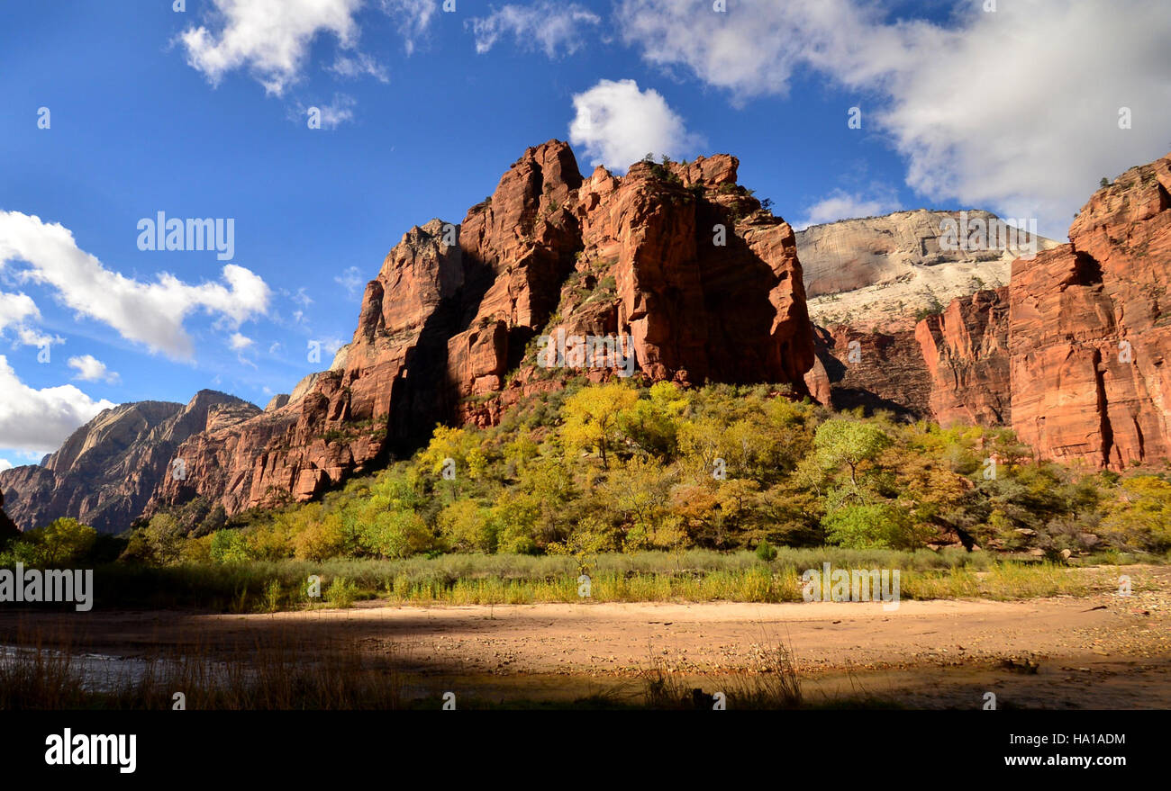 Der Big Bend National Park ist ein einzigartiges Naturgebiet in Texas, das für seine dramatischen Landschaften, seine vielfältige Tierwelt und seine geologischen Besonderheiten bekannt ist. Der Park erstreckt sich über weite Ökosysteme in Wüsten, Flüssen und Bergen und bietet Besuchern eine Reihe von Outdoor-Aktivitäten und atemberaubende Ausblicke. Stockfoto
