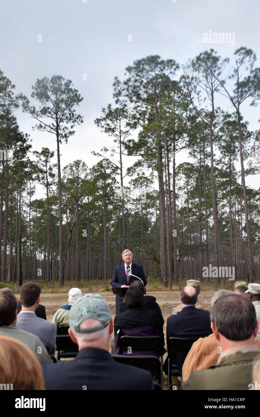 GA Vilsack besucht den Longleaf Pine Forest in Fort Stewart und erkundet seine ökologische Bedeutung und seine Naturschutzbemühungen. Der Besuch unterstreicht die Rolle der Bundesbehörden bei der Verwaltung dieser wichtigen Lebensräume. Stockfoto