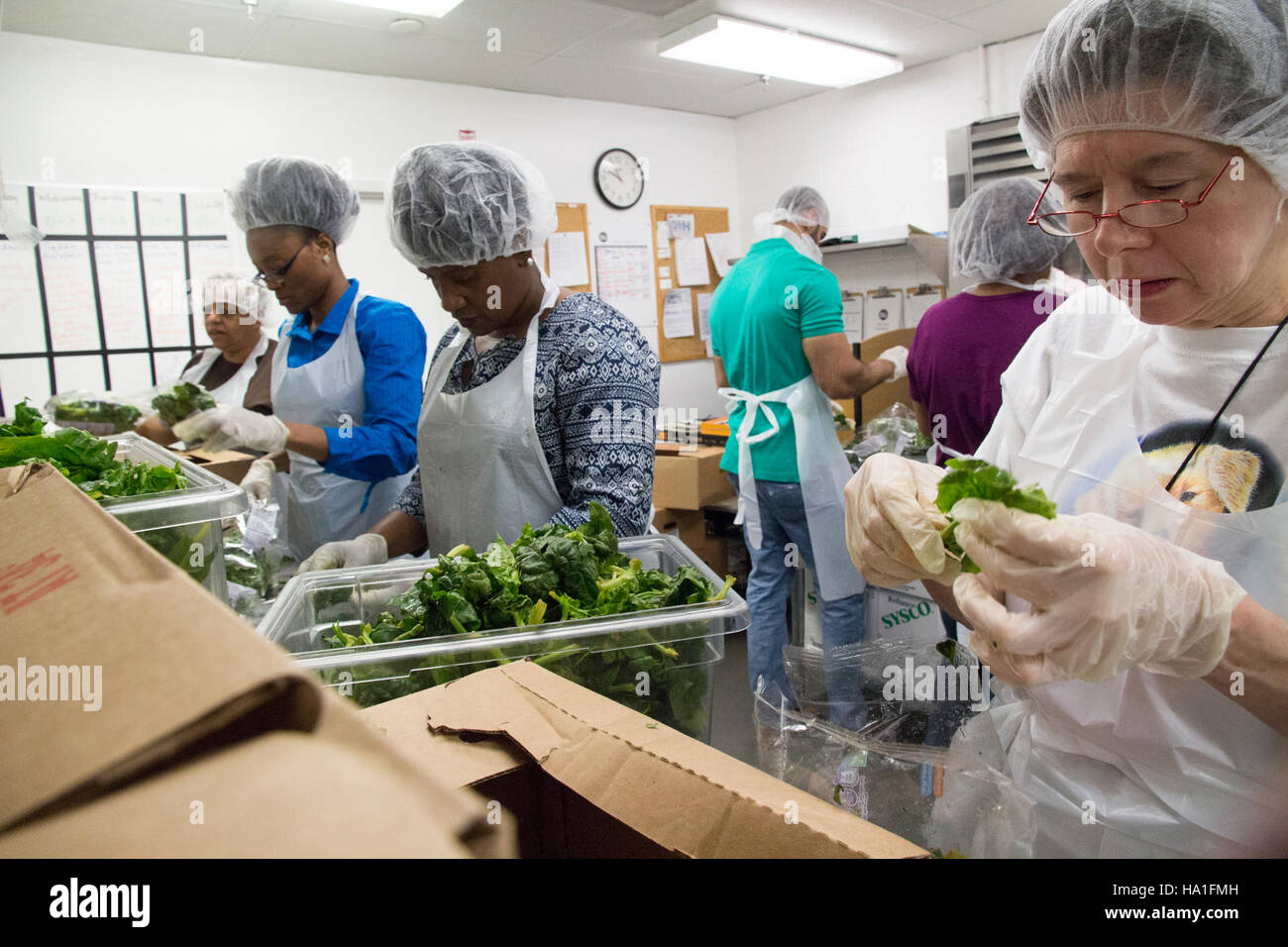 Freiwillige Helfer helfen bei der Zubereitung von Mahlzeiten bei einer USDA-Veranstaltung, fördern das Engagement der Gemeinde und unterstützen Programme des öffentlichen Dienstes in Washington, D.C. Stockfoto