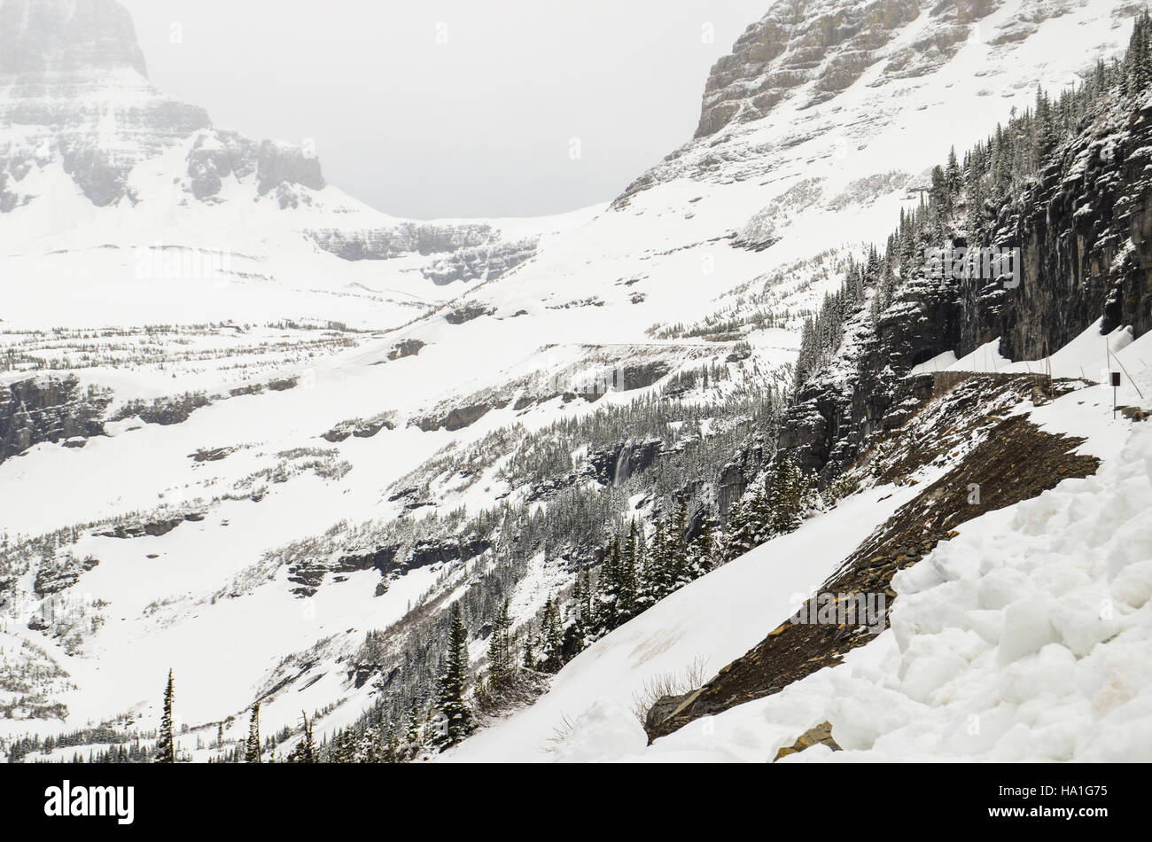 Der Big Bend National Park in den USA bietet vielfältige Landschaften, von Wüsten bis zu Bergketten. Der Park ist ein wichtiger Standort für Naturschutzmaßnahmen und wissenschaftliche Forschung im Bereich des Ökosystemmanagements. Stockfoto