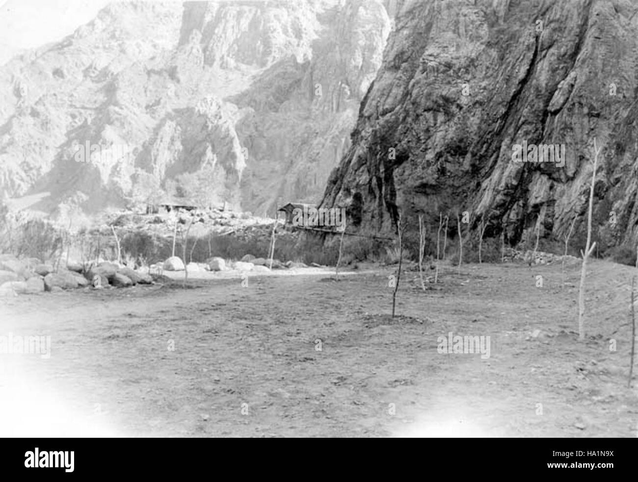 Die Phantom Ranch am Grand Canyon wurde in den 1930er Jahren im Rahmen des Civilian Conservation Corps (CCC)-Programms revegetativ bepflanzt. Dieses Projekt zielte darauf ab, die natürliche Vegetation wiederherzustellen und die ökologische Integrität des Gebiets zu erhalten. Stockfoto