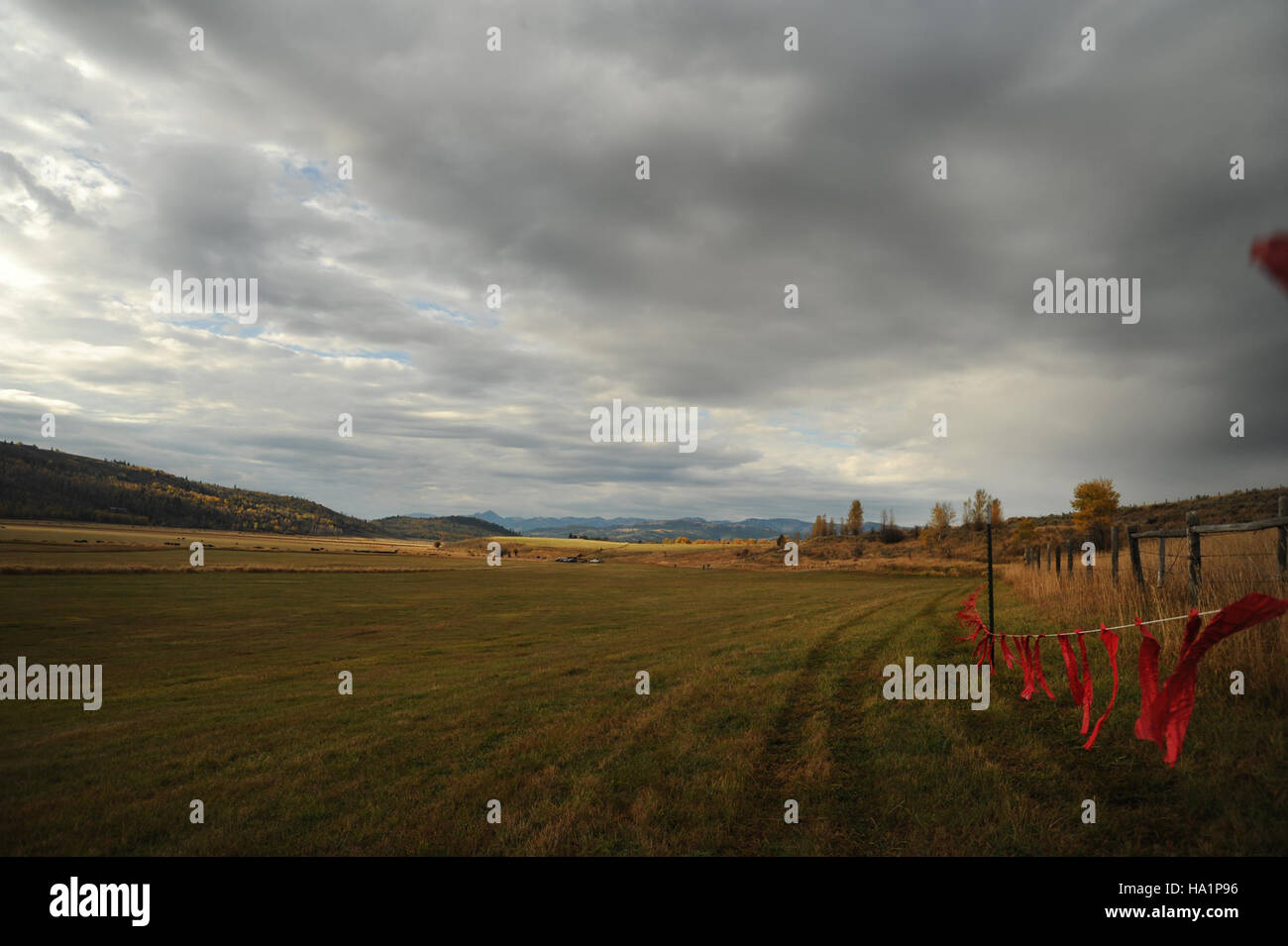 USDA Wildlife Services nutzt Aphis Fladry, um die Vernichtung von Nutztieren durch Raubtiere auf der Walton Ranch zu verhindern. Bei dieser Technik wird ein Flaggensystem eingesetzt, um Raubtiere abzuschrecken, das Vieh zu schützen und Angriffe auf landwirtschaftliche Betriebe zu reduzieren. Stockfoto