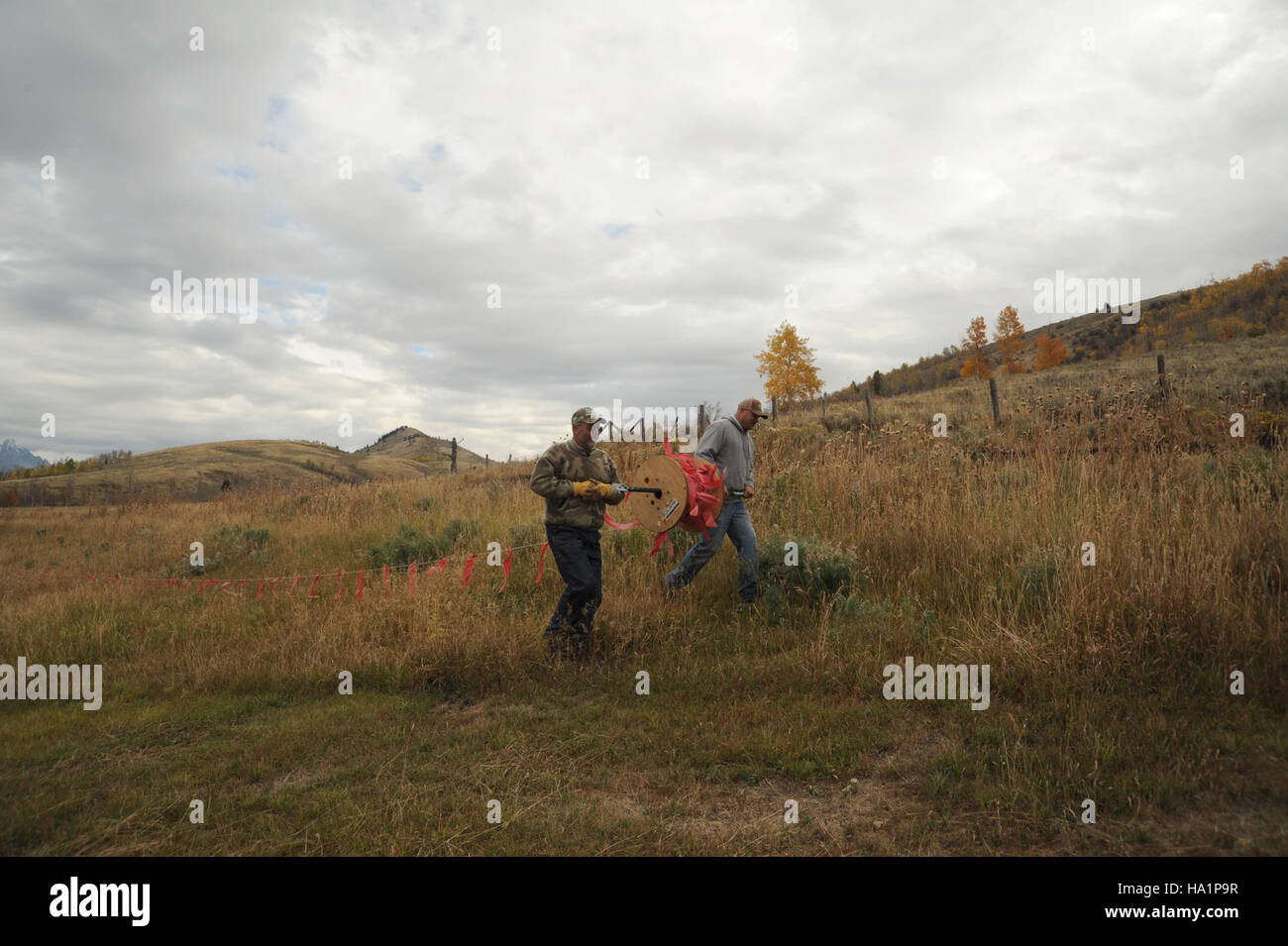 Dieses Bild zeigt das USDA Wildlife Services-Team, das auf der Walton Ranch arbeitet, um die Verwüstung von Nutztieren durch Fladry zu verhindern, eine Methode, die zur Abschreckung von Raubtieren entwickelt wurde. Stockfoto