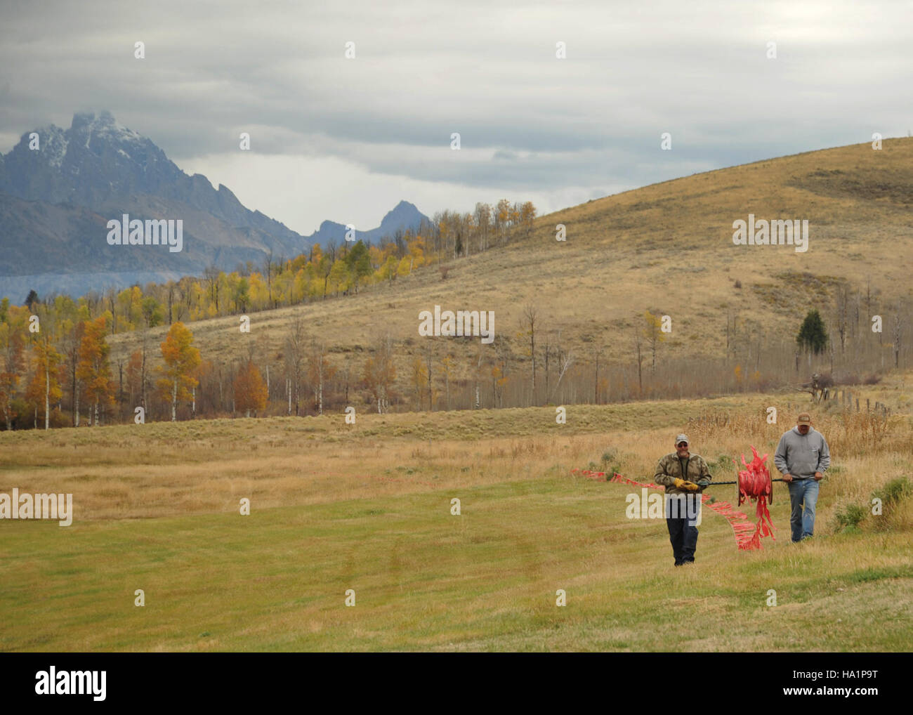Die USDA Wildlife Services bekämpften Raubtiere auf der Walton Ranch, indem sie Aphis Fladry als nicht-tödliche Methode benutzten, um Raubtiere zu verhindern. Diese Technik beinhaltet die Verwendung von Flaggen, um Raubtiere abzuschrecken. Stockfoto