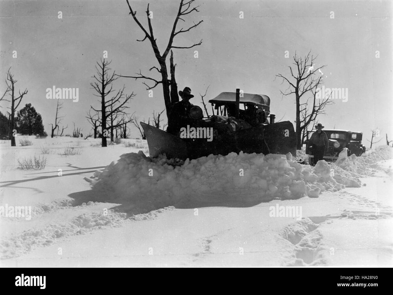 Ein historisches Foto aus dem Jahr 1933, das die Eröffnung der South Road nach Supai am Grand Canyon zeigt. Dieser Meilenstein unterstreicht die Schnittmenge zwischen Infrastrukturentwicklung und Naturschutzbemühungen in einem Nationalpark. Stockfoto