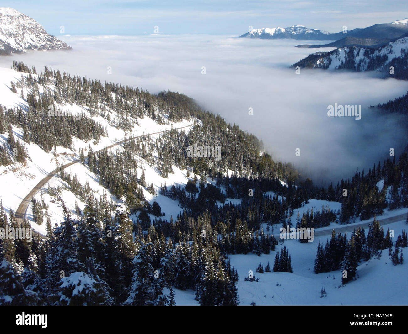 Olympicnps 16680382344 Wolken Hurricane Ridge Talstraße szenische Stockfoto