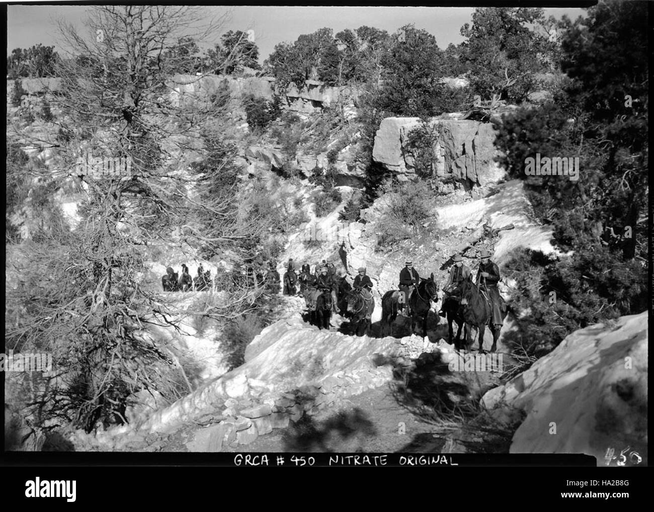Dieses historische Foto zeigt eine Maultierparty auf dem South Kaibab Trail im Grand Canyon National Park. Das Bild zeigt das zerklüftete Gelände und die historische Nutzung von Maultieren im Transportsystem des Parks. Stockfoto