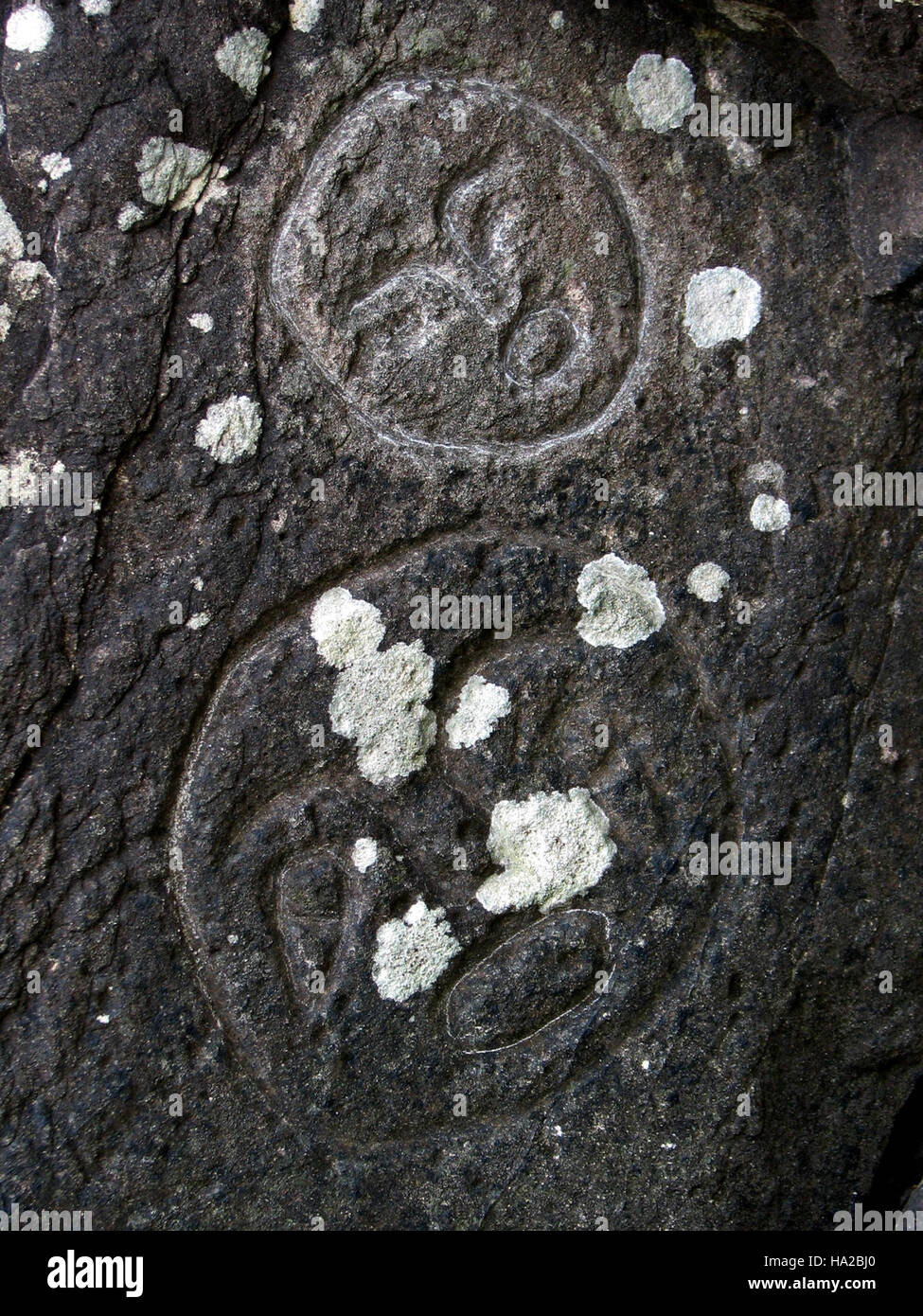 Dieses Bild zeigt Petroglyphen in Wedding Rocks, die alte Felskunst zeigen. Das Foto zeigt die in die Felsen eingeätzten Gesichter und bietet einen Einblick in die kulturelle und historische Bedeutung der Region. Stockfoto