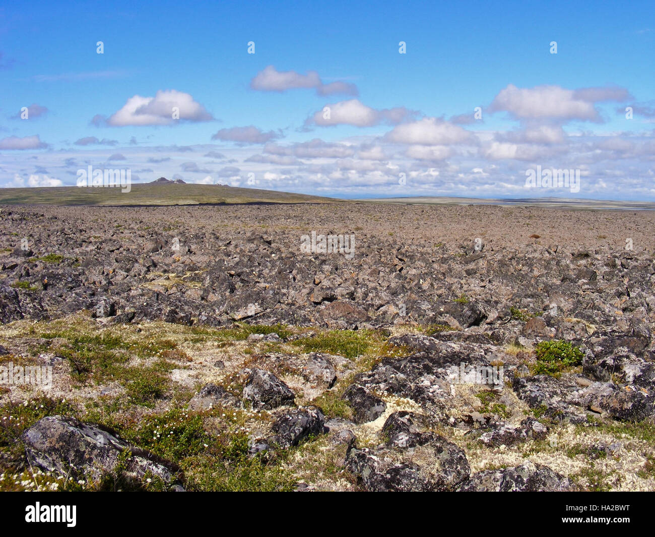 Die Bering-Land-Brücke, die durch das Vulkanfeld von Imuruk sichtbar ist, ist ein altes geologisches Merkmal, das früher Asien mit Nordamerika verband. Dieses Foto erfasst die zerklüftete Landschaft vulkanischer Felder in Alaska und beleuchtet die Naturgeschichte der Region. Stockfoto