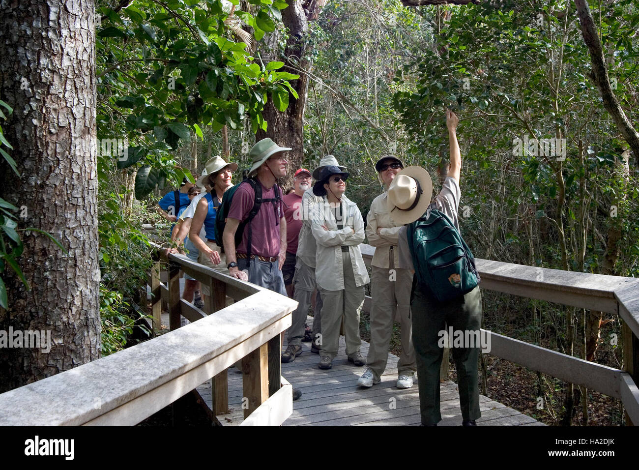 Everglades Ranger geführte Wanderungen Stockfoto