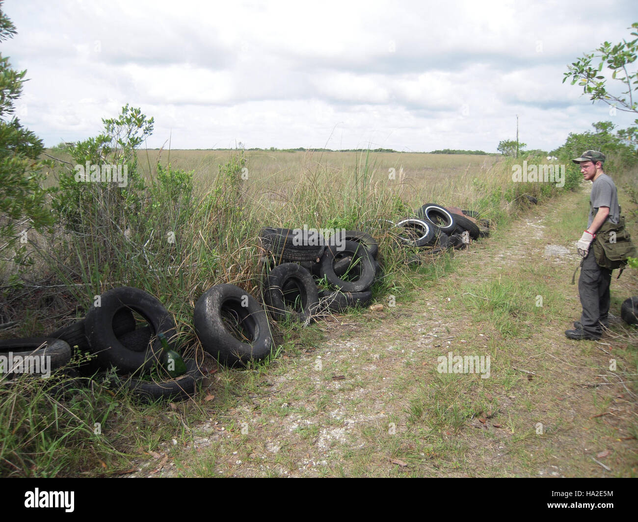 Everglades mehr Weg zu gehen-noch nicht entfernen Stockfoto