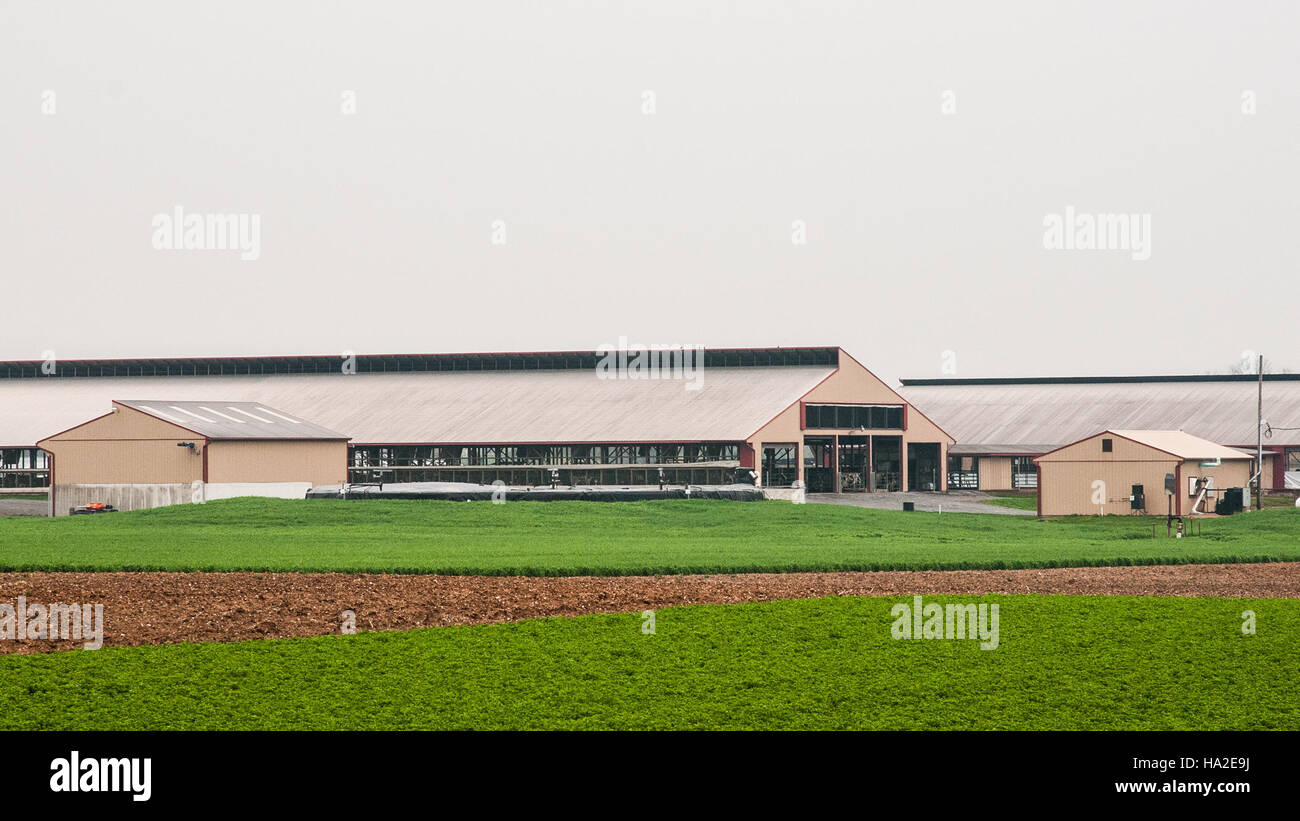 Ein Biodigester-System in einem Viehbetrieb dient der Abfallbewirtschaftung und der Erzeugung erneuerbarer Energien durch Umwandlung organischer Abfälle in Biogas. Diese umweltfreundliche Lösung reduziert Emissionen und trägt zu nachhaltigen landwirtschaftlichen Praktiken bei. Stockfoto