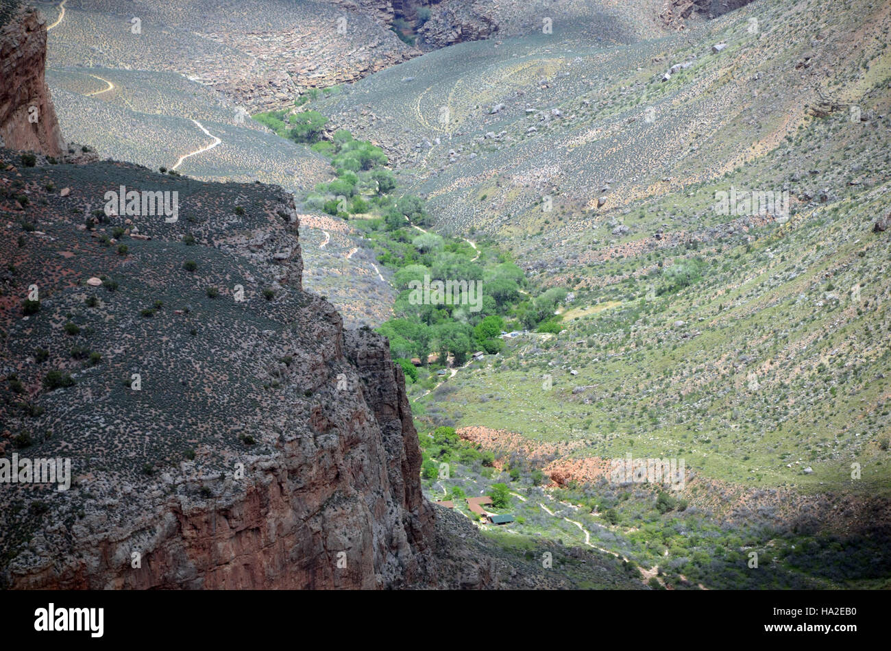 Grand-Canyon-Nationalpark; Indian Garden Stockfoto