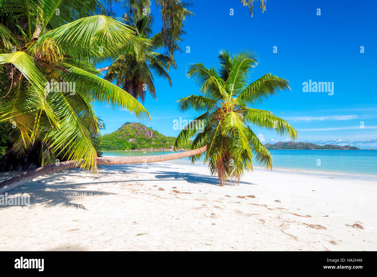 Wunderschönen tropischen Strand Stockfoto