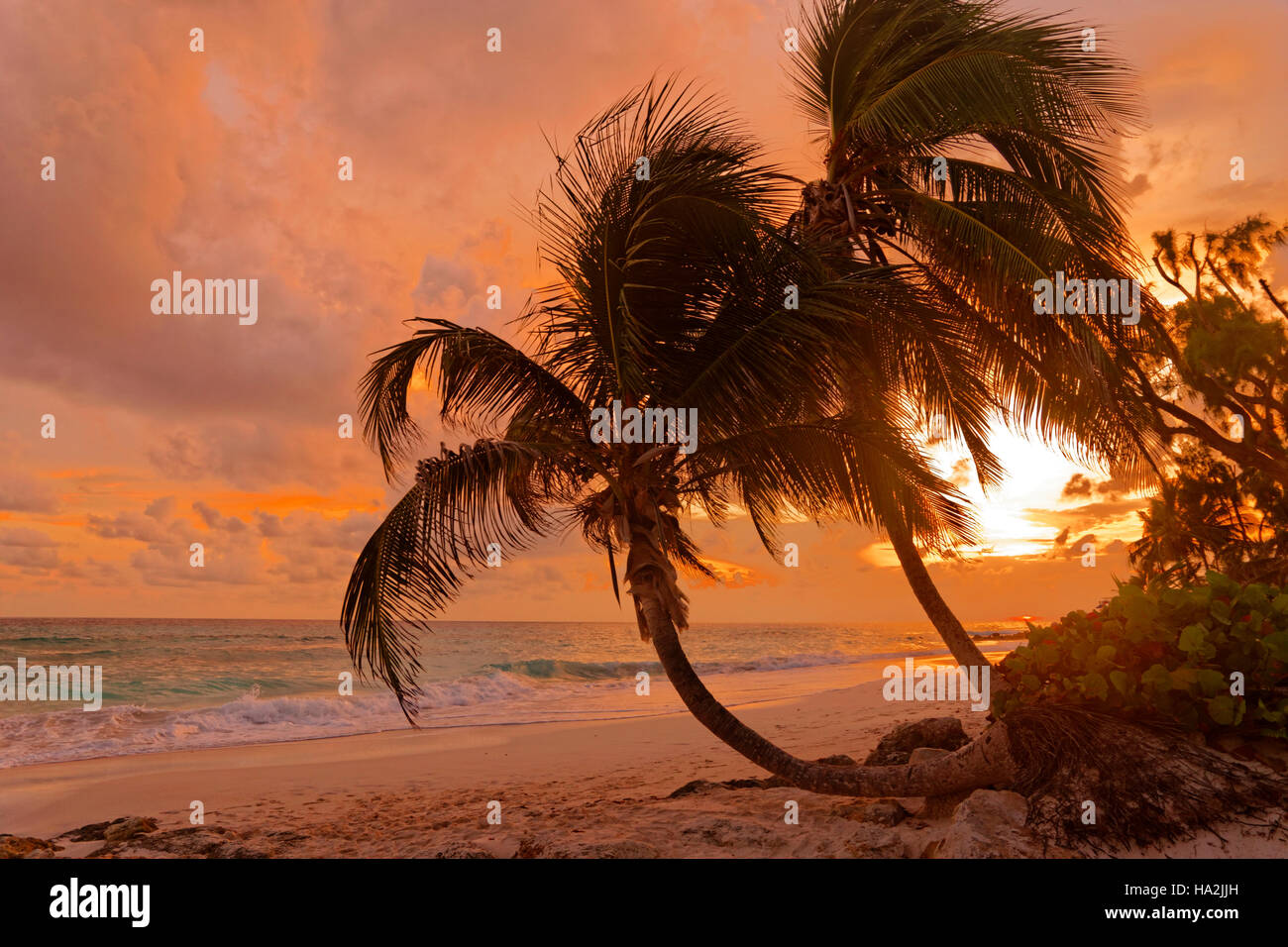 Sonnenuntergang am Strand von Dover, St. Lawrence Gap, Südküste, Barbados, Karibik. Stockfoto