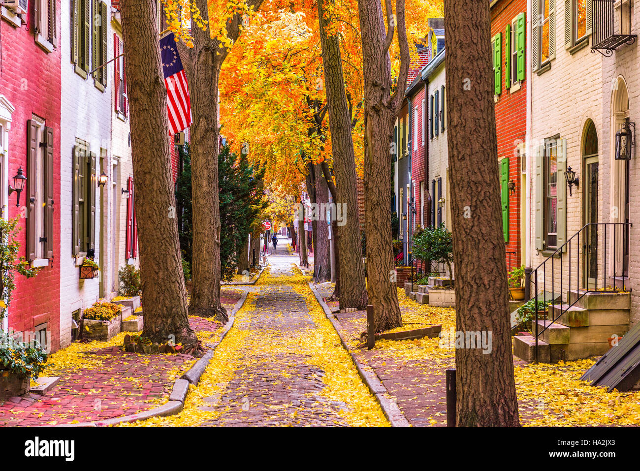 Philadelphia, Pennsylvania, USA-Gasse im Herbst. Stockfoto