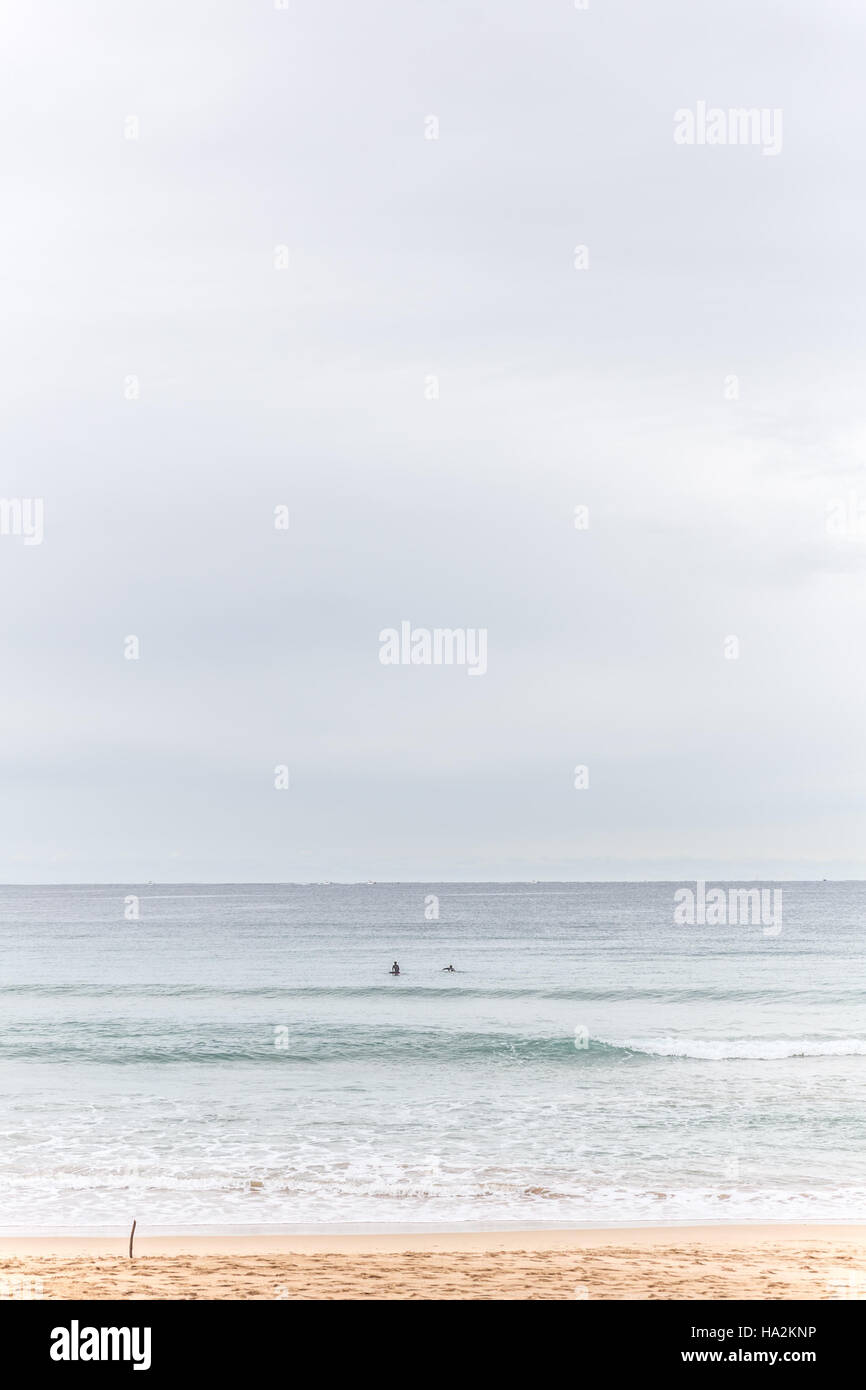 Zwei Surfer paddeln heraus zum Meer, Sydney, Australien Stockfoto