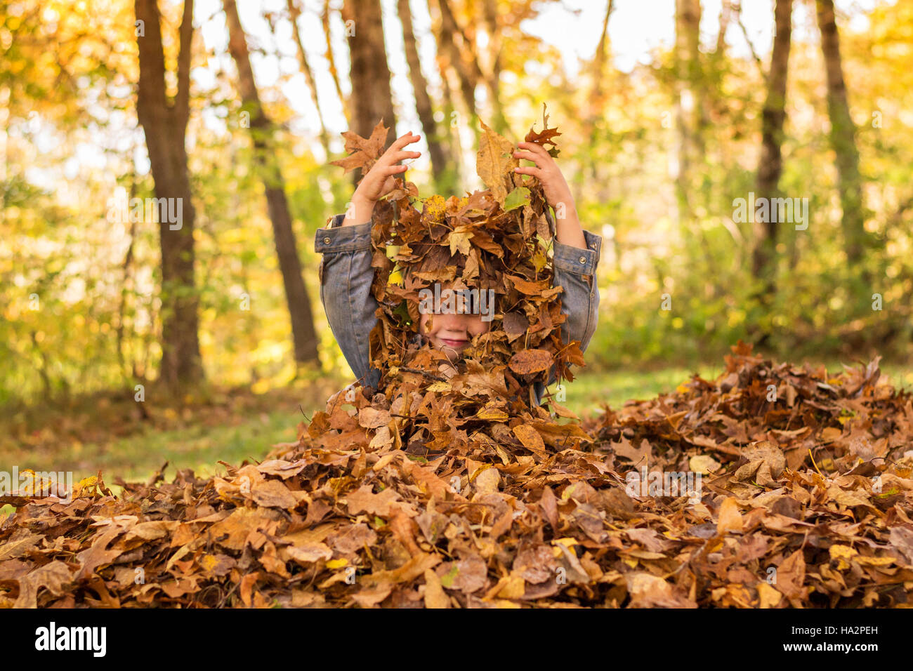 Junge versteckt im Herbstlaub Stockfoto