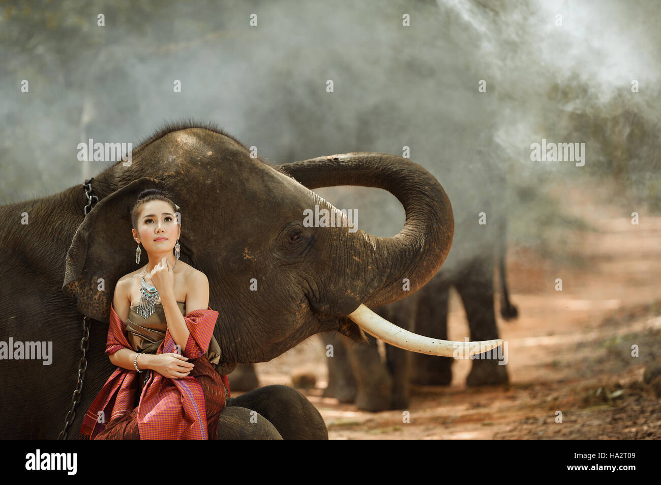 Porträt einer Frau sitzt mit einem Elefanten, Thailand Stockfoto