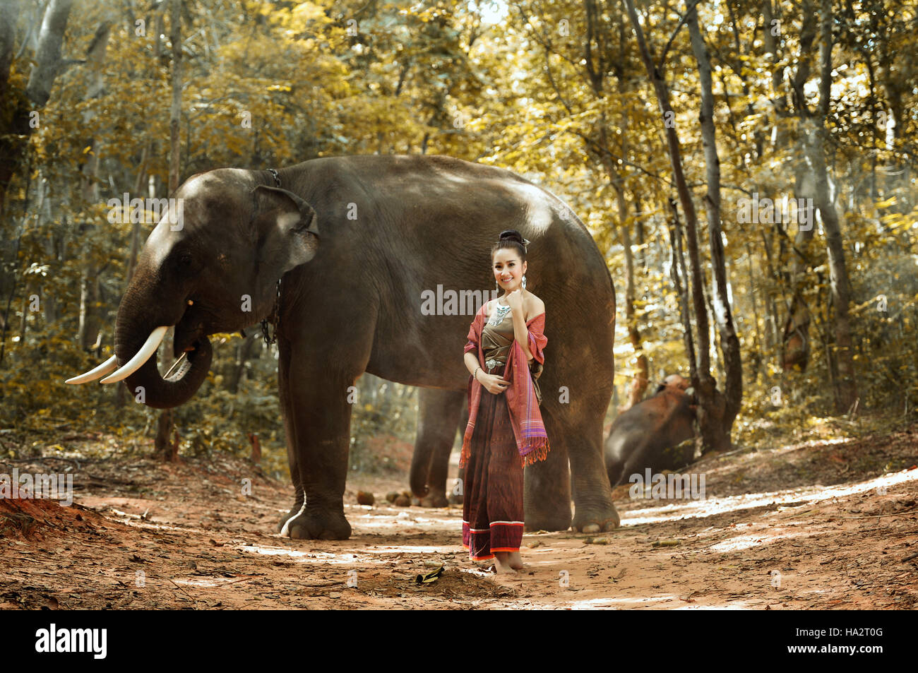 Porträt einer Frau mit einem Elefanten, Thailand Stockfoto