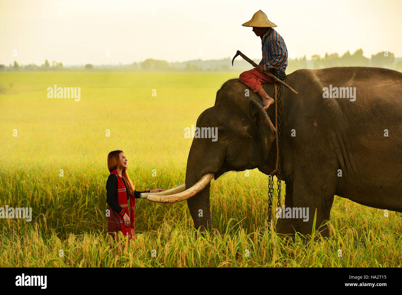 Frau mit Elefanten und Mahout Mann, Thailand Stockfoto