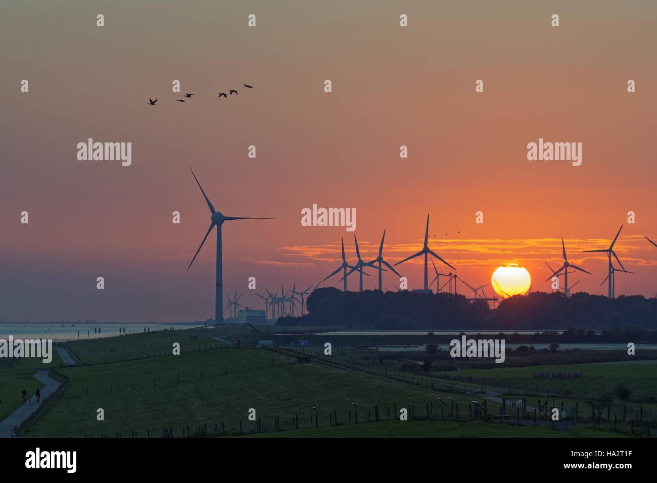 Windenergieanlagen bei Sonnenuntergang, Emden, Niedersachsen, Deutschland Stockfoto
