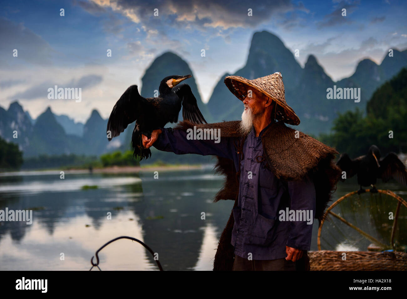 Fischer mit Kormoran Vogel, Guilin, Guangxi, China Stockfoto