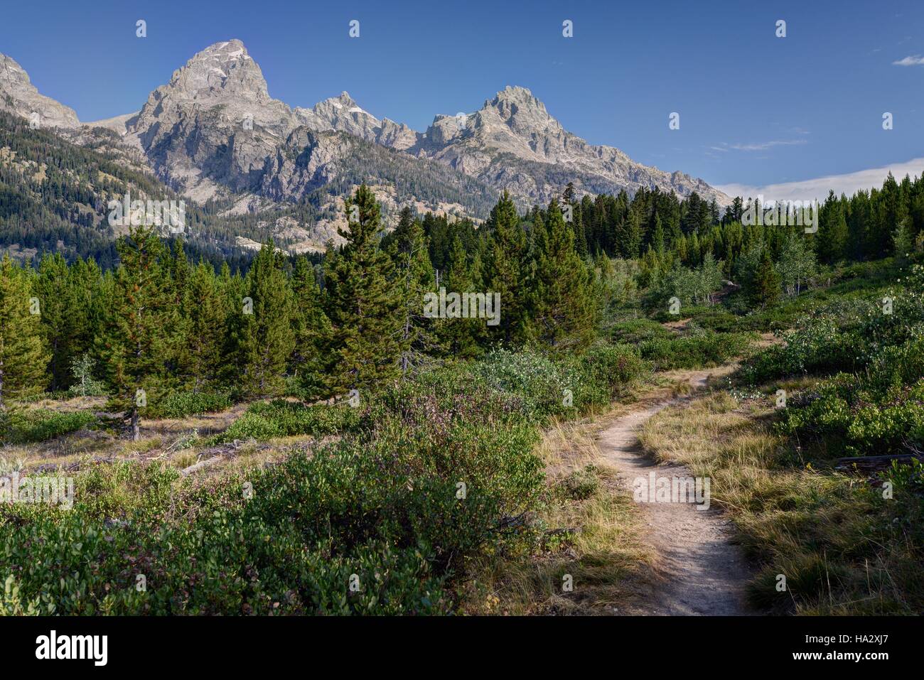 Bergpfad, Grand Teton National Park, Wyoming, USA Stockfoto