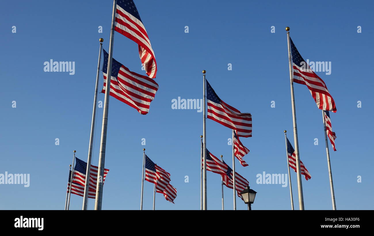 Amerikanische Flaggen wehten auf Fahnenmasten Stockfoto