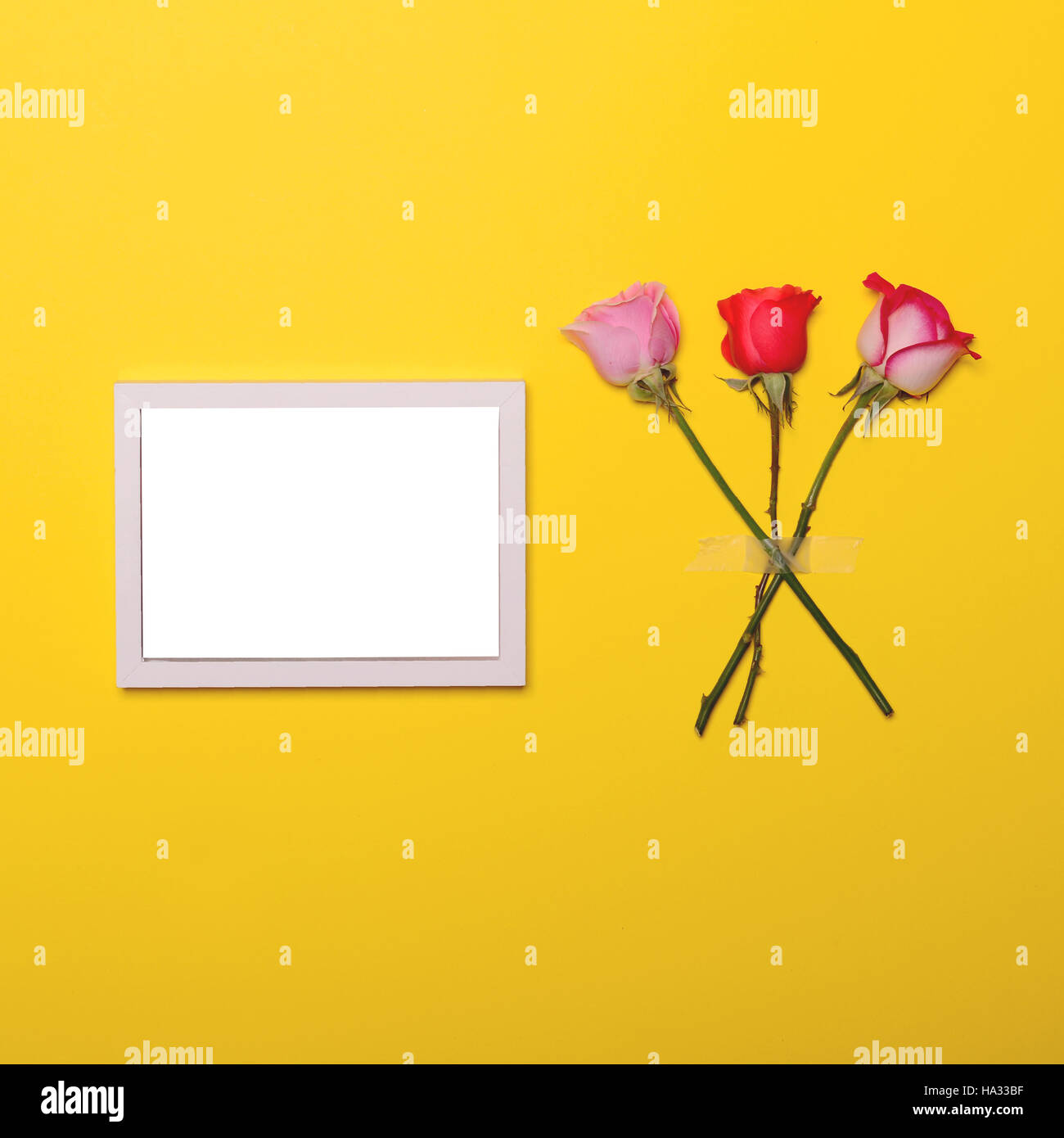 Mit Klebeband, Rosen und leeren weißen Holzrahmen auf gelbem Hintergrund - Draufsicht Stockfoto