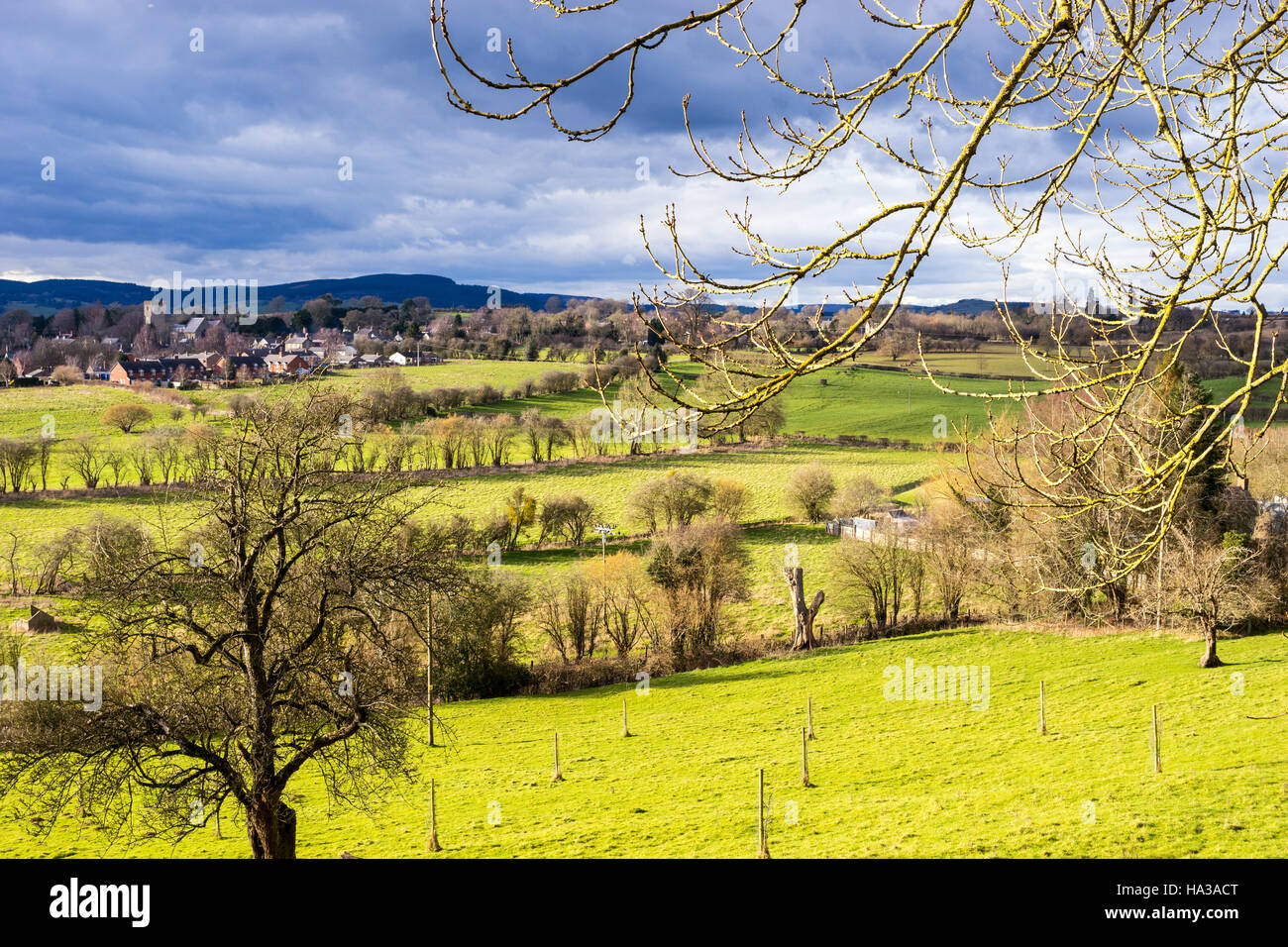 Leintwardine Herefordshire England UK Stockfoto