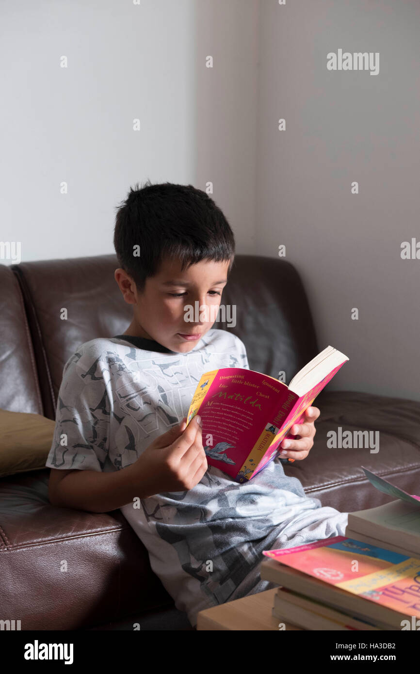 Junge, 8 Jahre alt, liest Bücher aus der Bibliothek zu Hause Stockfoto