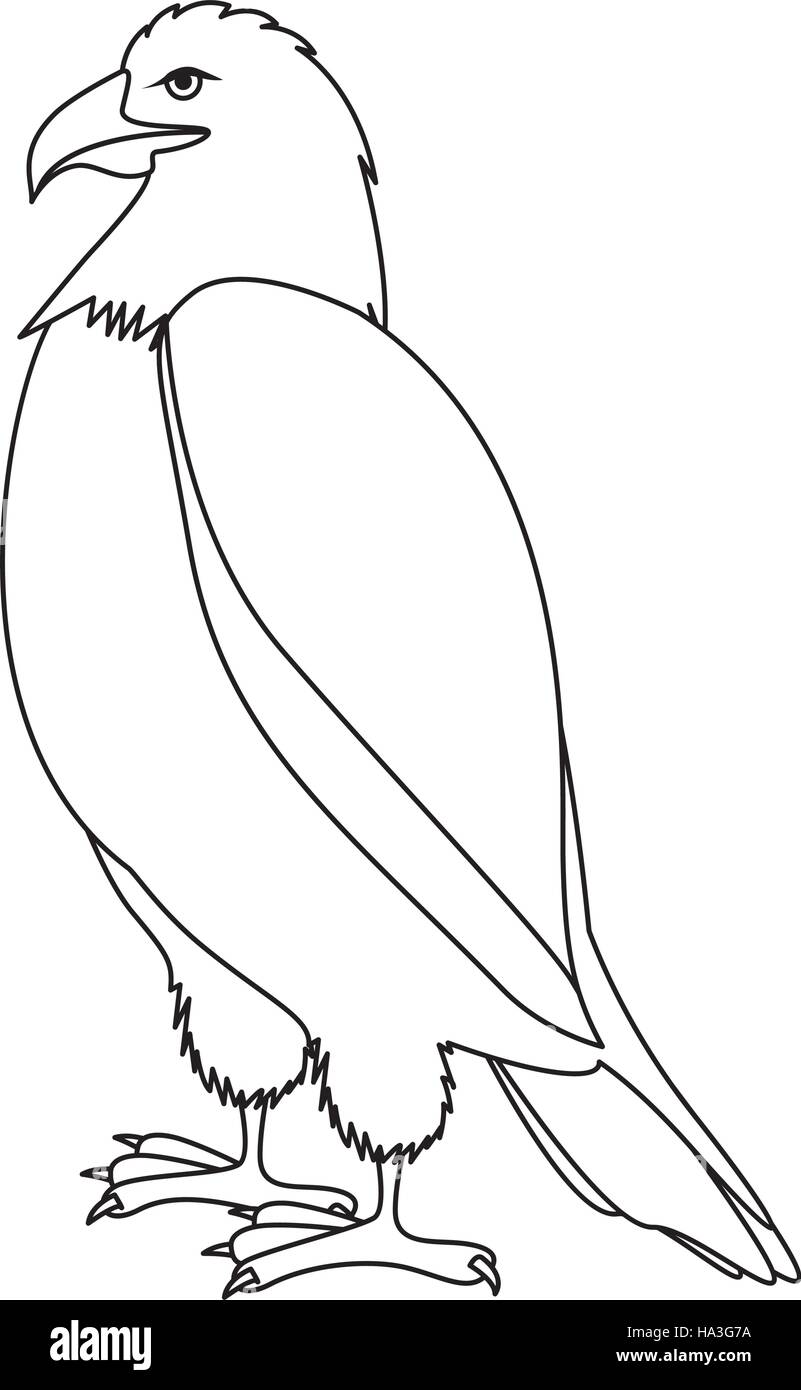 Kontur Adler in die stehende Position Vektor-illustration Stock Vektor