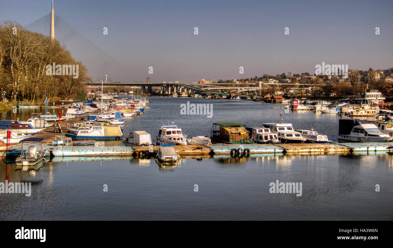 Belgrad, Serbien - Boote vertäut in einem Hafen auf dem Fluss Sava Stockfoto