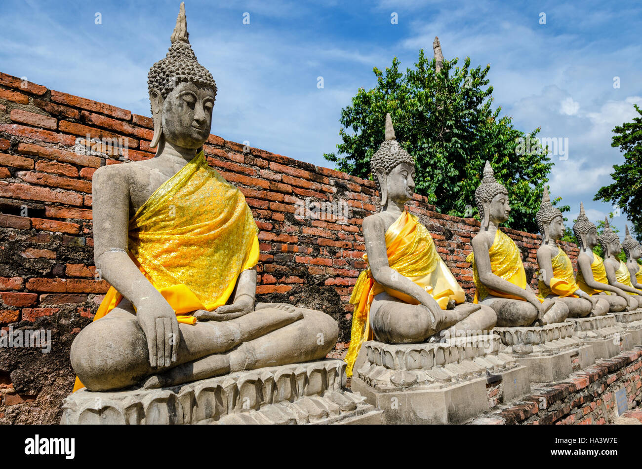 Ayutthaya (Thailand), Buddha-Statuen in einem alten Tempelruinen Stockfoto