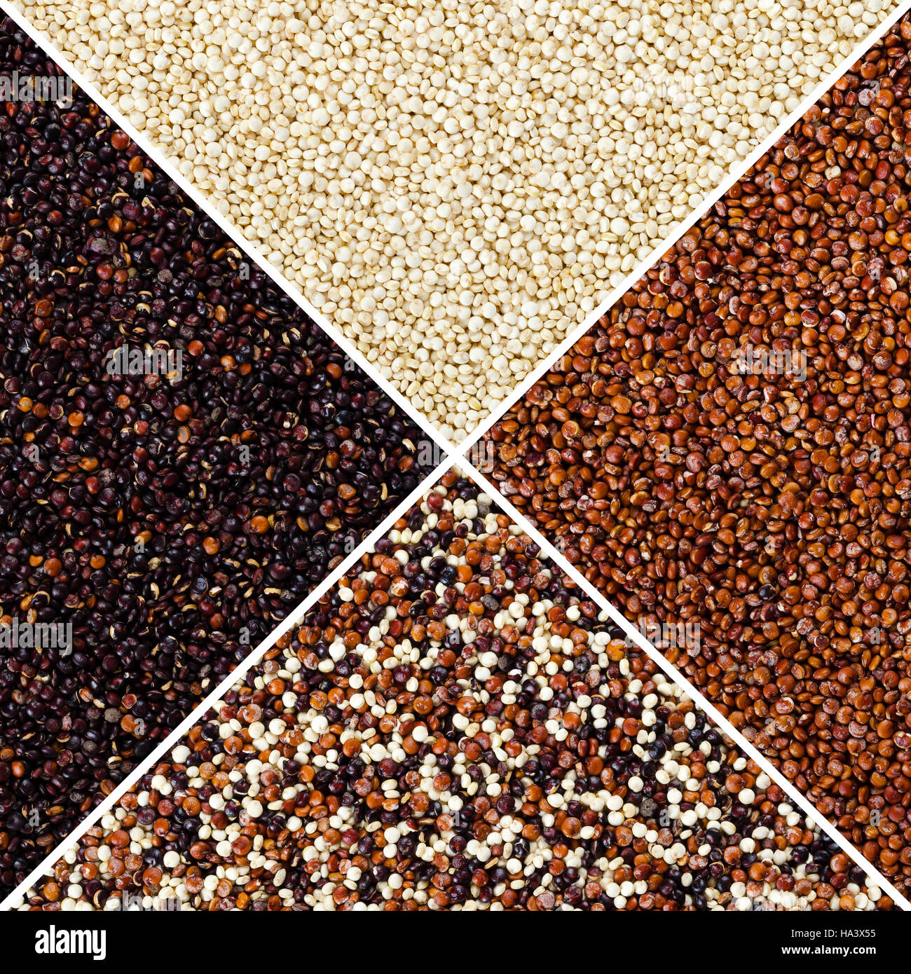 Quadrat der gelben, roten, schwarzen und gemischter Quinoa Samen in Dreiecksflächen. Essbare Getreideernte Chenopodium Quinoa. Stockfoto