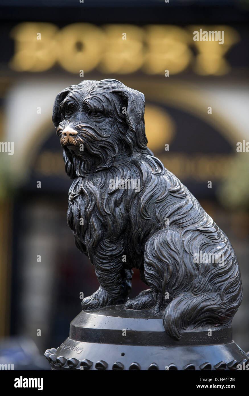 Greyfriars Bobby-Statue, die äußere Greyfrairs Kirk auf George iv Street Bridge in Edinburgh sitzt. Stockfoto