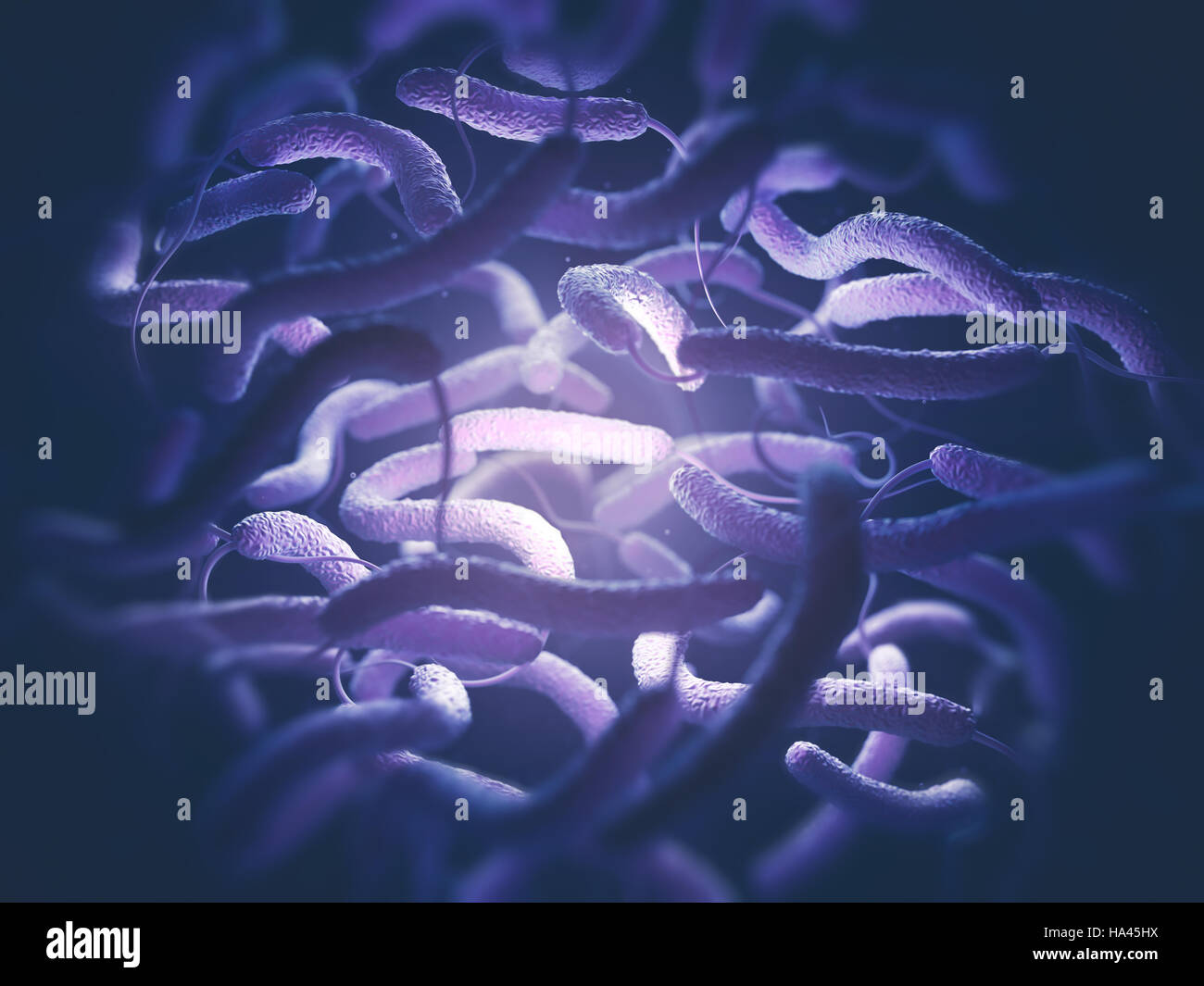 Vibrio Cholerae, Gram-negativen Bakterien. 3D Darstellung der Bakterien mit Flagellen. Stockfoto