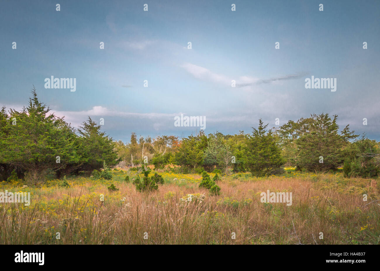 unglaublich schöne Naturlandschaft in Sag Harbor New York Stockfoto
