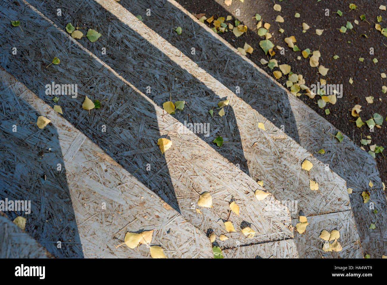 Hölzerne Schritte in natürlichem Sonnenlicht mit Herbstlaub. Stockfoto