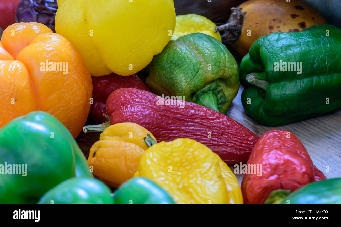 Makro Nahaufnahme von bunten roten, gelben und grünen Bio homegrown Paprika in natürlichem Sonnenlicht Stockfoto