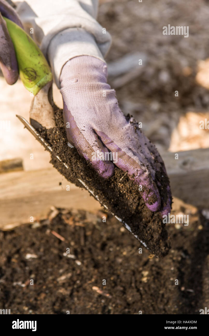 Für jeden Boden testen Sie Probenraum, nehmen Sie 15 Sub-Proben, über das gesamte Gebiet, wobei Sie auf gleichmäßige Abdeckung zu erhalten. Stockfoto