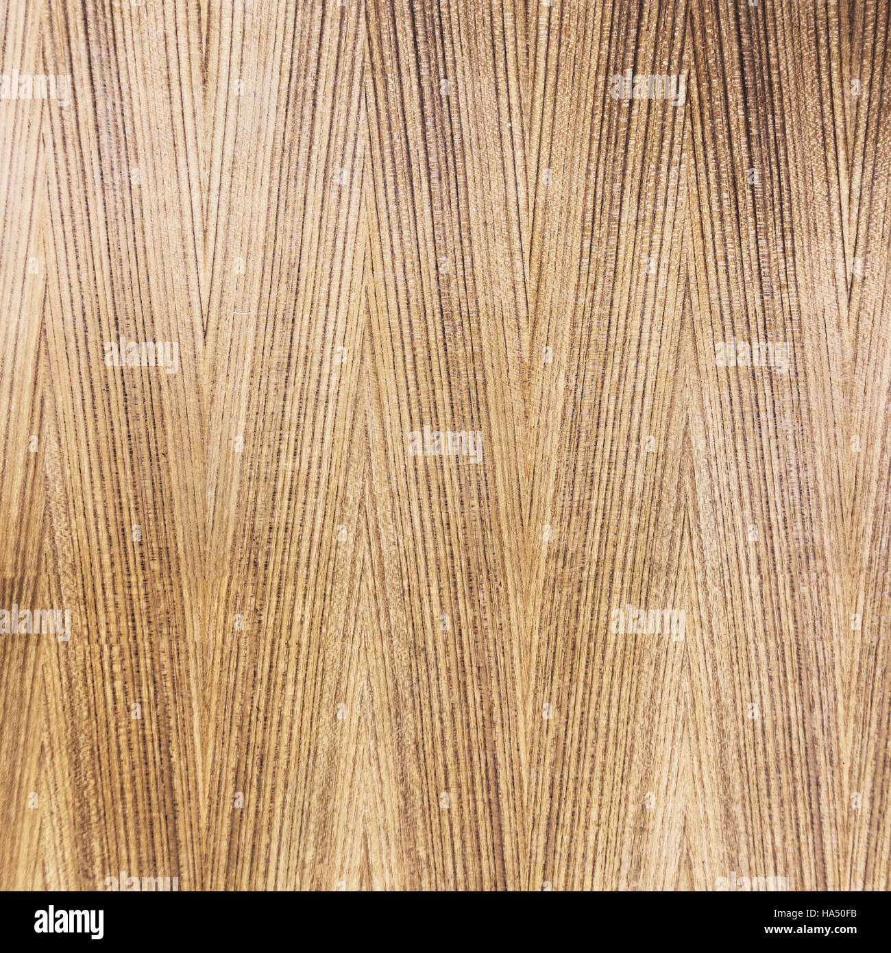 Hochauflösende Holz Texturen Hintergrund. Stockfoto
